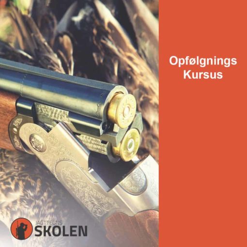 Jagttegnsskolen.com - Opfølgning